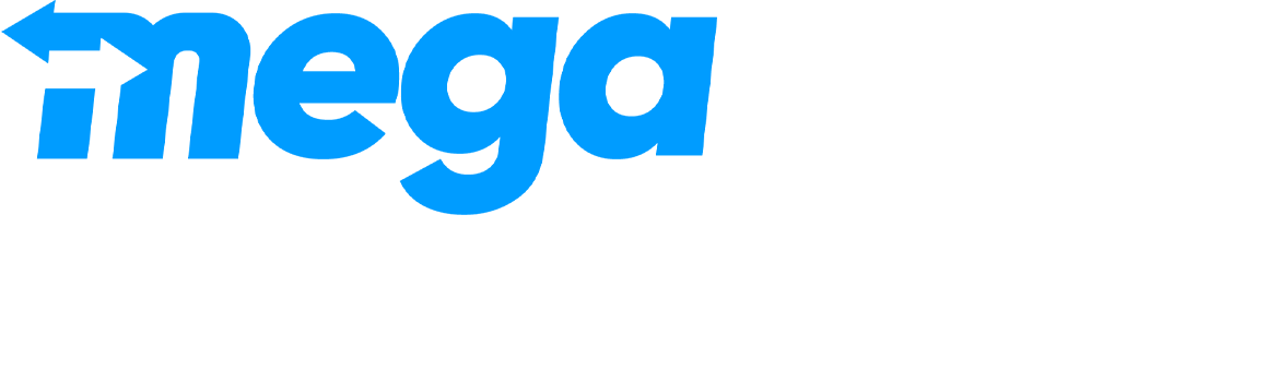 MegaPayzWallet